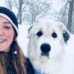 Meet your Posher, Anna